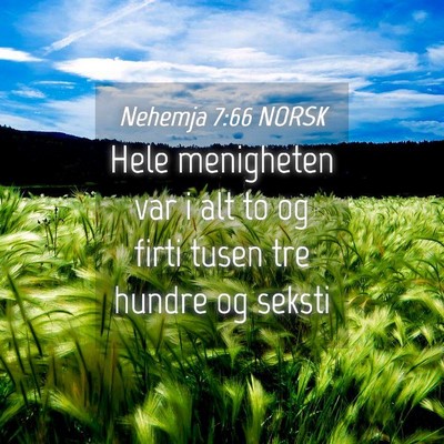 Picture 04 - Nehemja 7:66 NORSK - Hele menigheten var i alt to og firti tusen tre - Bible Verse Picture