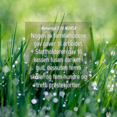 Picture 04 - Nehemja 7:70 NORSK - Nogen av familiehodene gav gaver til arbeidet. - Bible Verse Picture