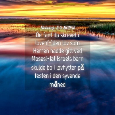 Picture 04 - Nehemja 8:14 NORSK - De fant da skrevet i loven(-)den lov som Herren - Bible Verse Picture
