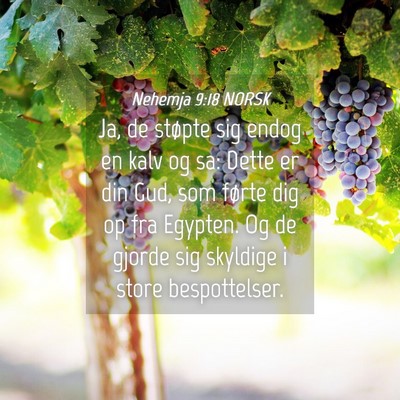 Picture 04 - Nehemja 9:18 NORSK - Ja, de støpte sig endog en kalv og sa: Dette er - Bible Verse Picture