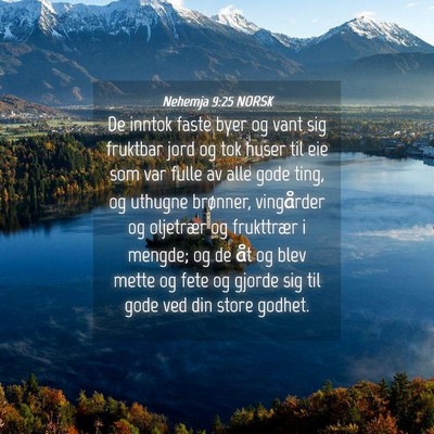 Picture 04 - Nehemja 9:25 NORSK - De inntok faste byer og vant sig fruktbar jord og - Bible Verse Picture