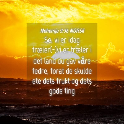 Picture 04 - Nehemja 9:36 NORSK - Se, vi er idag træler(-)vi er træler i det land - Bible Verse Picture