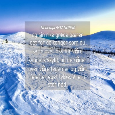 Picture 04 - Nehemja 9:37 NORSK - og sin rike grøde bærer det for de konger som - Bible Verse Picture