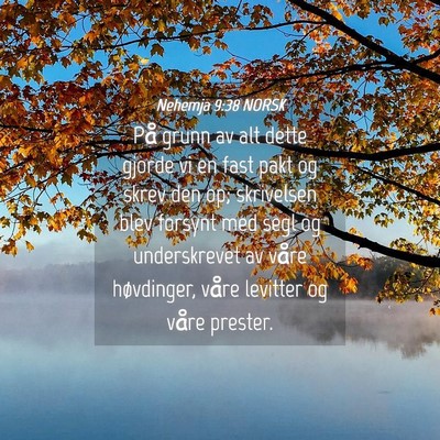 Picture 04 - Nehemja 9:38 NORSK - På grunn av alt dette gjorde vi en fast pakt og - Bible Verse Picture