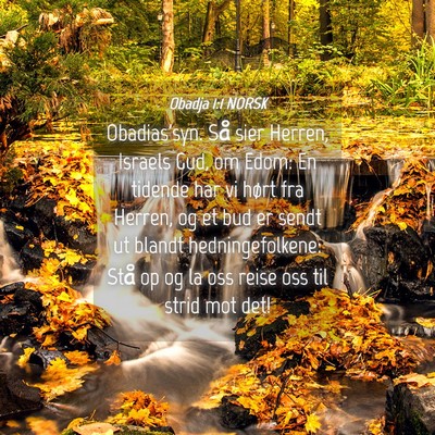 Picture 04 - Obadja 1:1 NORSK - Obadias'syn. Så sier Herren, Israels Gud, om - Bible Verse Picture