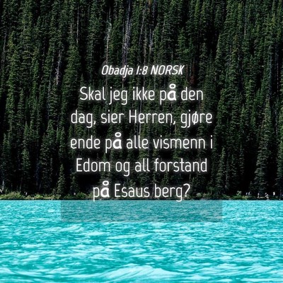 Picture 04 - Obadja 1:8 NORSK - Skal jeg ikke på den dag, sier Herren, gjøre - Bible Verse Picture