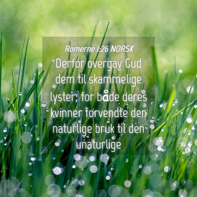 Picture 04 - Romerne 1:26 NORSK - Derfor overgav Gud dem til skammelige lyster; for - Bible Verse Picture