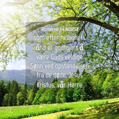 Picture 04 - Romerne 1:4 NORSK - som efter hellighets ånd er godtgjort å være - Bible Verse Picture
