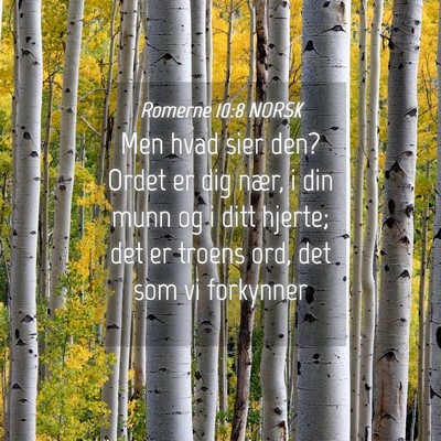 Picture 04 - Romerne 10:8 NORSK - Men hvad sier den? Ordet er dig nær, i din munn - Bible Verse Picture