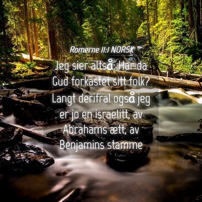Picture 04 - Romerne 11:1 NORSK - Jeg sier altså: Har da Gud forkastet sitt folk? - Bible Verse Picture