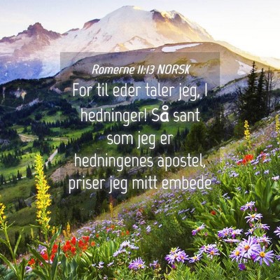 Picture 04 - Romerne 11:13 NORSK - For til eder taler jeg, I hedninger! Så sant som - Bible Verse Picture