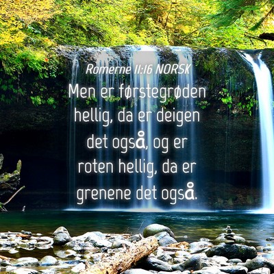 Picture 04 - Romerne 11:16 NORSK - Men er førstegrøden hellig, da er deigen det - Bible Verse Picture