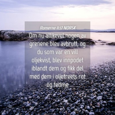 Picture 04 - Romerne 11:17 NORSK - Om nu allikevel nogen av grenene blev avbrutt, og - Bible Verse Picture