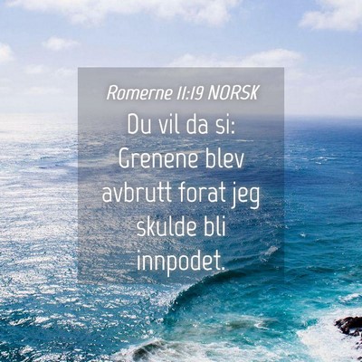 Picture 04 - Romerne 11:19 NORSK - Du vil da si: Grenene blev avbrutt forat jeg - Bible Verse Picture