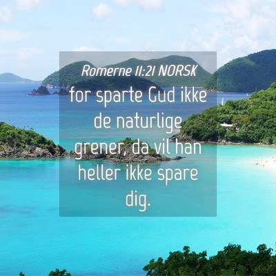 Picture 04 - Romerne 11:21 NORSK - for sparte Gud ikke de naturlige grener, da vil - Bible Verse Picture