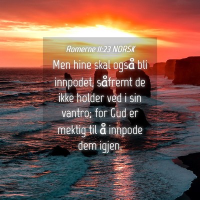Picture 04 - Romerne 11:23 NORSK - Men hine skal også bli innpodet, såfremt de - Bible Verse Picture