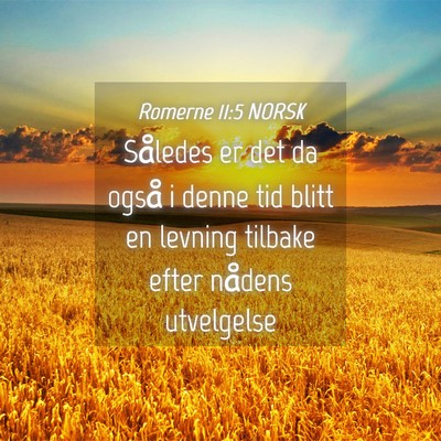 Picture 04 - Romerne 11:5 NORSK - Således er det da også i denne tid blitt en - Bible Verse Picture