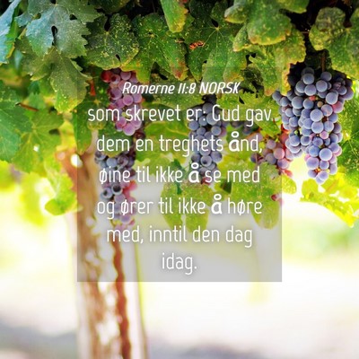 Picture 04 - Romerne 11:8 NORSK - som skrevet er: Gud gav dem en treghets ånd, - Bible Verse Picture