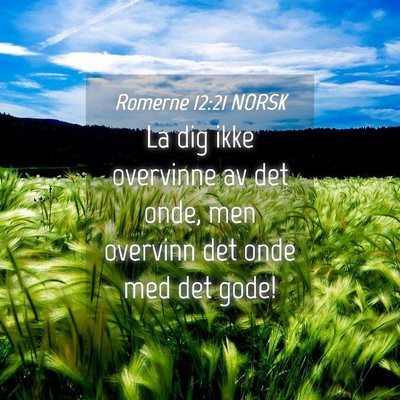 Picture 04 - Romerne 12:21 NORSK - La dig ikke overvinne av det onde, men overvinn - Bible Verse Picture