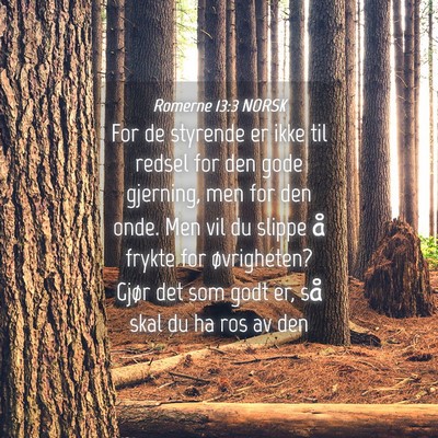 Picture 04 - Romerne 13:3 NORSK - For de styrende er ikke til redsel for den gode - Bible Verse Picture