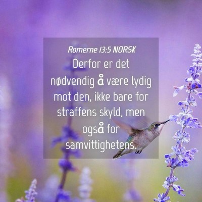 Picture 04 - Romerne 13:5 NORSK - Derfor er det nødvendig å være lydig mot den, - Bible Verse Picture