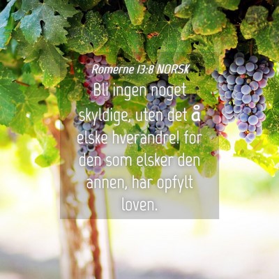 Picture 04 - Romerne 13:8 NORSK - Bli ingen noget skyldige, uten det å elske - Bible Verse Picture