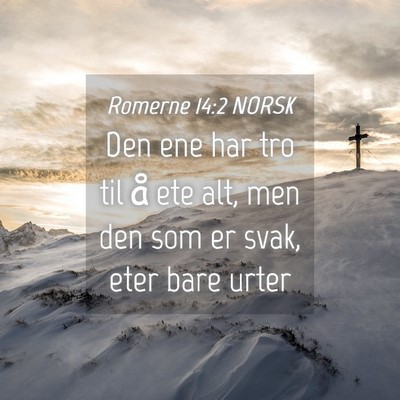 Picture 04 - Romerne 14:2 NORSK - Den ene har tro til å ete alt, men den som er - Bible Verse Picture