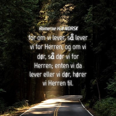 Picture 04 - Romerne 14:8 NORSK - for om vi lever, så lever vi for Herren, og om - Bible Verse Picture