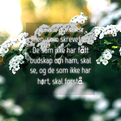 Picture 04 - Romerne 15:21 NORSK - men, som skrevet er: De som ikke har fått - Bible Verse Picture