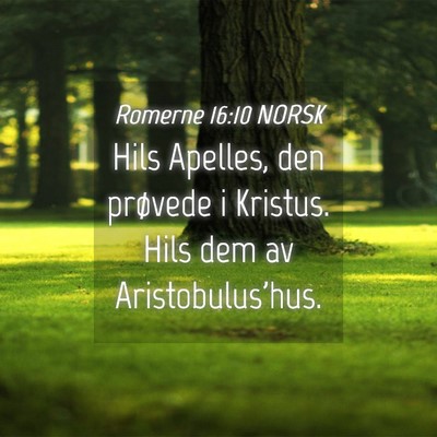 Picture 04 - Romerne 16:10 NORSK - Hils Apelles, den prøvede i Kristus. Hils dem av - Bible Verse Picture