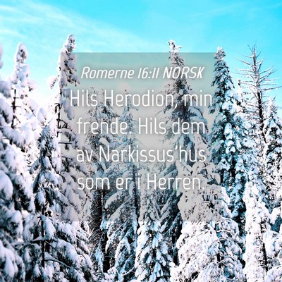 Picture 04 - Romerne 16:11 NORSK - Hils Herodion, min frende. Hils dem av - Bible Verse Picture