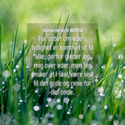 Picture 04 - Romerne 16:19 NORSK - For ordet om eders lydighet er kommet ut til - Bible Verse Picture