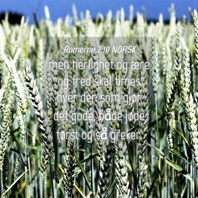 Picture 04 - Romerne 2:10 NORSK - men herlighet og ære og fred skal times hver den - Bible Verse Picture