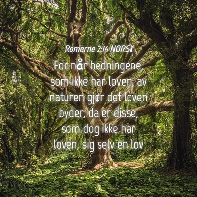 Picture 04 - Romerne 2:14 NORSK - For når hedningene, som ikke har loven, av - Bible Verse Picture