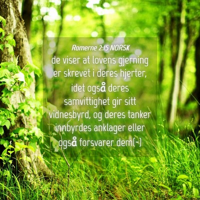 Picture 04 - Romerne 2:15 NORSK - de viser at lovens gjerning er skrevet i deres - Bible Verse Picture