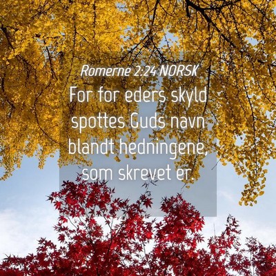 Picture 04 - Romerne 2:24 NORSK - For for eders skyld spottes Guds navn blandt - Bible Verse Picture