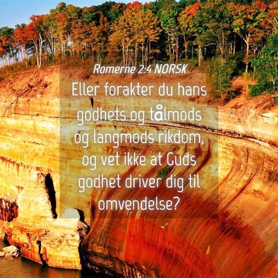 Picture 04 - Romerne 2:4 NORSK - Eller forakter du hans godhets og tålmods og - Bible Verse Picture