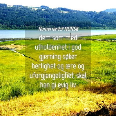 Picture 04 - Romerne 2:7 NORSK - dem som med utholdenhet i god gjerning søker - Bible Verse Picture