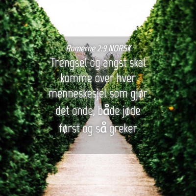 Picture 04 - Romerne 2:9 NORSK - Trengsel og angst skal komme over hver - Bible Verse Picture