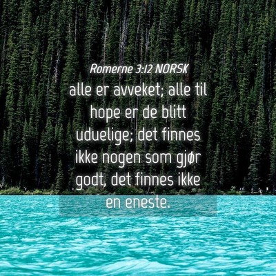 Picture 04 - Romerne 3:12 NORSK - alle er avveket; alle til hope er de blitt - Bible Verse Picture