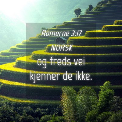 Picture 04 - Romerne 3:17 NORSK - og freds vei kjenner de - Bible Verse Picture