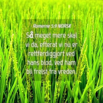 Picture 04 - Romerne 5:9 NORSK - Så meget mere skal vi da, efterat vi nu er - Bible Verse Picture