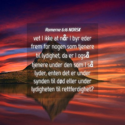 Picture 04 - Romerne 6:16 NORSK - vet I ikke at når I byr eder frem for nogen som - Bible Verse Picture
