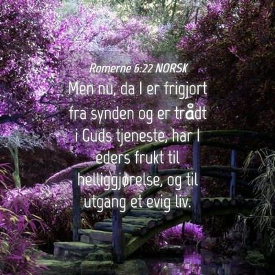 Picture 04 - Romerne 6:22 NORSK - Men nu, da I er frigjort fra synden og er trådt - Bible Verse Picture