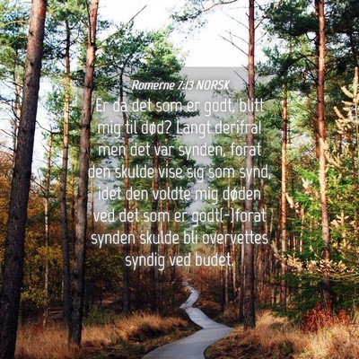 Picture 04 - Romerne 7:13 NORSK - Er da det som er godt, blitt mig til død? Langt - Bible Verse Picture