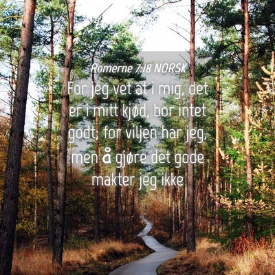 Picture 04 - Romerne 7:18 NORSK - For jeg vet at i mig, det er i mitt kjød, bor - Bible Verse Picture