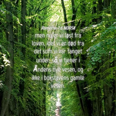 Picture 04 - Romerne 7:6 NORSK - men nu er vi løst fra loven, idet vi er død fra - Bible Verse Picture