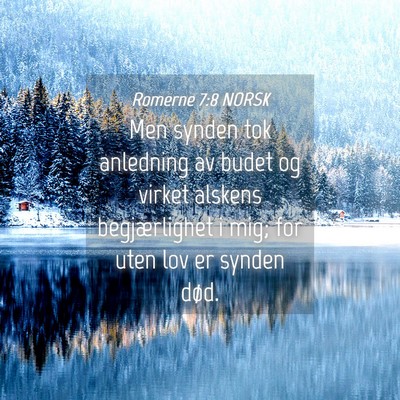 Picture 04 - Romerne 7:8 NORSK - Men synden tok anledning av budet og virket - Bible Verse Picture