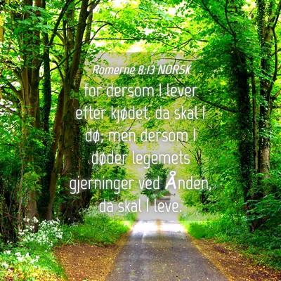 Picture 04 - Romerne 8:13 NORSK - for dersom I lever efter kjødet, da skal I dø; - Bible Verse Picture