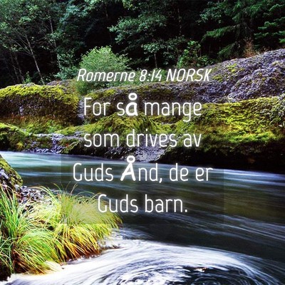 Picture 04 - Romerne 8:14 NORSK - For så mange som drives av Guds Ånd, de er Guds - Bible Verse Picture